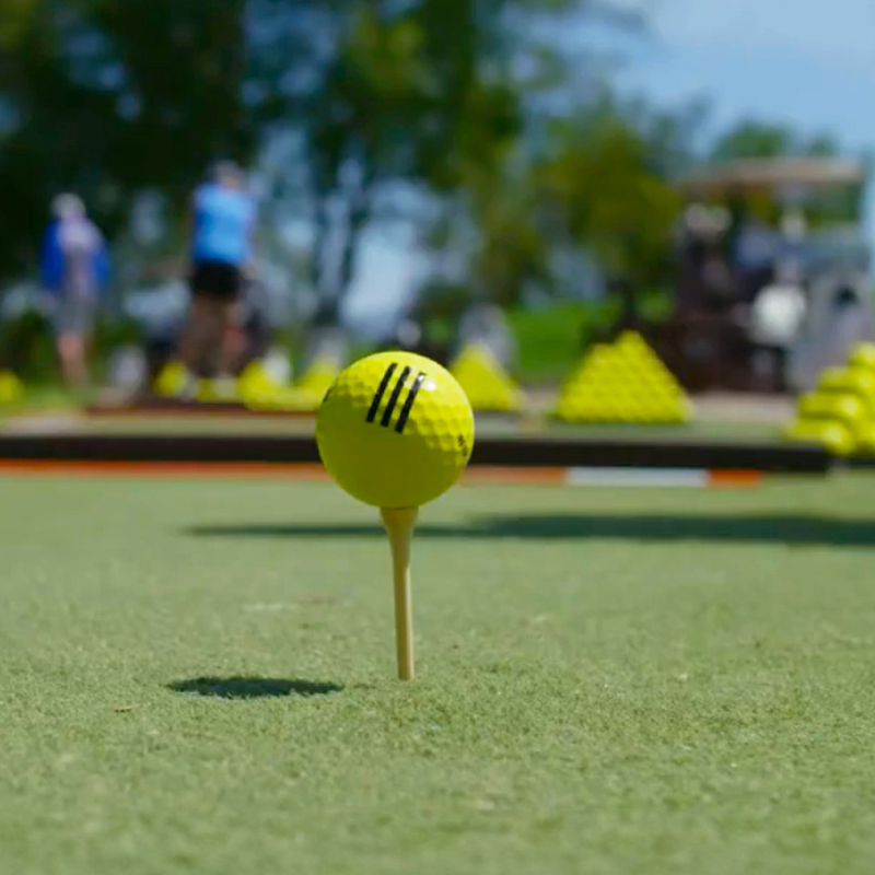 EZTee Hybrid Hitting Strip